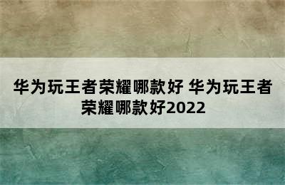 华为玩王者荣耀哪款好 华为玩王者荣耀哪款好2022